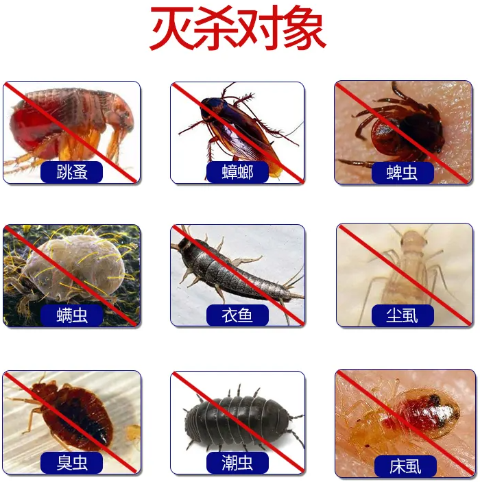 跳蚤、蟑螂、蜱蟲、虱子、臭蟲殺滅率檢測